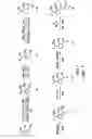 Fig. 08 - Salicylamide-lanthanide complexes for use as luminescent markers