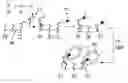 Fig. 01 - Use of photopolymerization for amplification and detection of a molecular recognition event