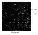 Fig. 04 - Use of photopolymerization for amplification and detection of a molecular recognition event
