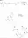 Fig. 08 - Use of photopolymerization for amplification and detection of a molecular recognition event