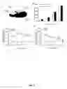 Fig. 07 - METHODS OF PREDICTING METHOTREXATE EFFICACY AND TOXICITY
