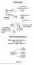 Fig. 04 - Compositions and methods for enhancing drug sensitivity and treating drug resistant infections and diseases