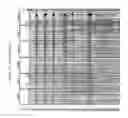 Fig. 25 - Methods and nucleic acids for the analyses of cellular proliferative disorders