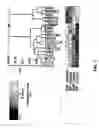 Fig. 02 - Method to diagnose or screen for inflammatory diseases