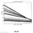 Fig. 05 - Methods for quantitative analysis of a nucleic acid amplification reaction