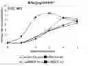 Fig. 01 - Methods and compositions for expressing negative-sense viral RNA in canine cells