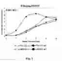 Fig. 02 - Methods and compositions for expressing negative-sense viral RNA in canine cells