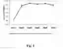Fig. 06 - Methods and compositions for expressing negative-sense viral RNA in canine cells