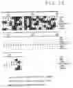 Fig. 09 - Transforming Growth Factor Alpha HI
