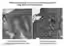Fig. 01 - Methods and compositions for the detection of cervical disease