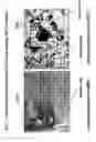 Fig. 08 - Methods and compositions for the detection of cervical disease