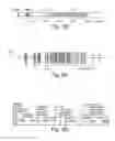 Fig. 03 - Aortic carboxypeptidase-like polypeptide