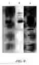 Fig. 10 - Open channel solid phase extraction systems and methods