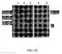 Fig. 14 - Open channel solid phase extraction systems and methods