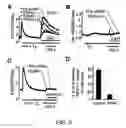 Fig. 06 - Calcium biosensor polypeptides and methods of use