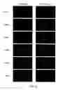 Fig. 07 - Calcium biosensor polypeptides and methods of use