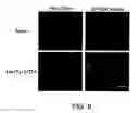 Fig. 09 - Calcium biosensor polypeptides and methods of use