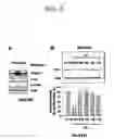 Fig. 07 - Method for screening transglutaminase 2 inhibitor or activator
