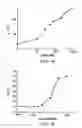 Fig. 02 - Identification of ligands by selective amplification of cells transfected with receptors