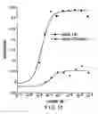 Fig. 22 - Identification of ligands by selective amplification of cells transfected with receptors
