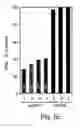 Fig. 06 - Non-invasive marker for liver function and disease