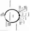 Fig. 15 - Polypeptides exhibiting PDE7 activity and their use for selecting compounds which inhibit PDE 7 enzyme activity