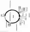 Fig. 16 - Polypeptides exhibiting PDE7 activity and their use for selecting compounds which inhibit PDE 7 enzyme activity