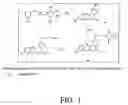Fig. 02 - Selective chromophores