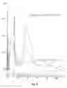 Fig. 06 - Processing of Peptides and Proteins