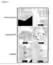 Fig. 31 - Posh interacting proteins and related methods