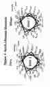 Fig. 02 - Cysteine-containing peptides having antioxidant properties