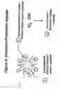 Fig. 05 - Cysteine-containing peptides having antioxidant properties