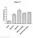 Fig. 08 - VEGF variants