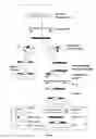 Fig. 04 - Complementary DNAs encoding proteins with signal peptides