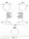 Fig. 08 - Process for production of polypeptides