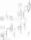 Fig. 19 - Polynucleotide constructs for increased lysine production
