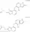 Fig. 07 - Stereoselective reduction process for the preparation of pyrrolotriazine compounds