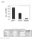 Fig. 09 - Vector for transformation of 