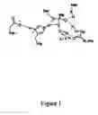 Fig. 02 - Increasing perhydrolase activity in esterases and/or lipases