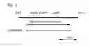 Fig. 02 - Gene improving temperature-tolerance of acetic acid bacterium, acetic acid bacterium bred using the gene and process for producing vinegar using the acetic acid bacterium
