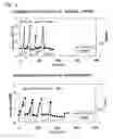 Fig. 04 - Gene improving temperature-tolerance of acetic acid bacterium, acetic acid bacterium bred using the gene and process for producing vinegar using the acetic acid bacterium