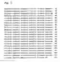 Fig. 06 - Gene improving temperature-tolerance of acetic acid bacterium, acetic acid bacterium bred using the gene and process for producing vinegar using the acetic acid bacterium