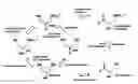 Fig. 01 - Method for the production of glycerol by recombinant organisms