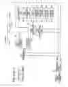 Fig. 29 - Thermal cycler for automatic performance of the polymerase chain reaction with close temperature control