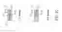 Fig. 04 - Medical diagnostic test strip