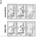 Fig. 05 - Isolation of multi-lineage stem cells