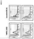 Fig. 06 - Isolation of multi-lineage stem cells
