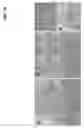 Fig. 16 - Isolation of multi-lineage stem cells