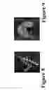 Fig. 09 - Misfolded protein sensor method
