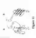 Fig. 11 - Misfolded protein sensor method